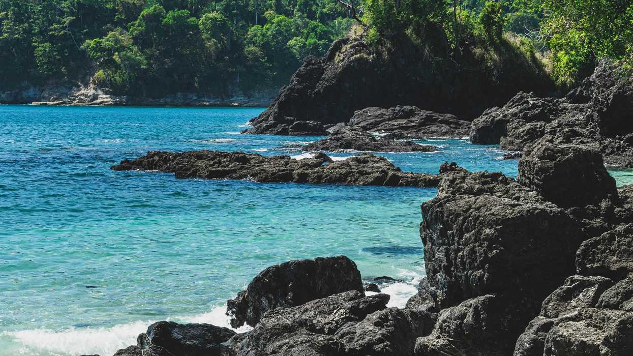 green trees on black rock formation near blue sea during daytime.