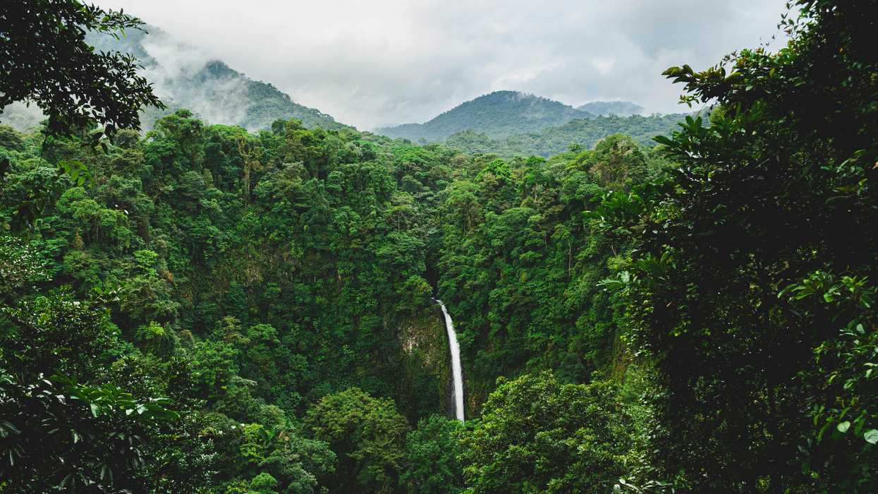 green tropical forest on mountain under white clouds during daytime.
