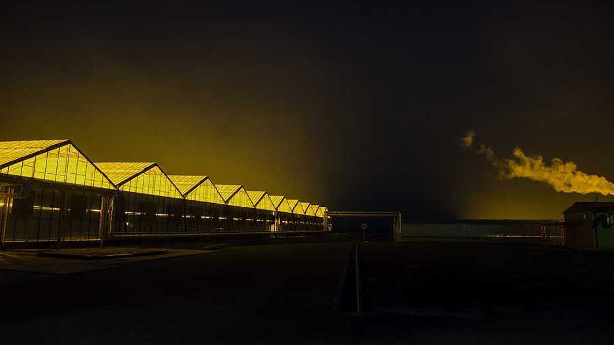 Greenhouses stretching into the distance with interior lights illuminating the night sky