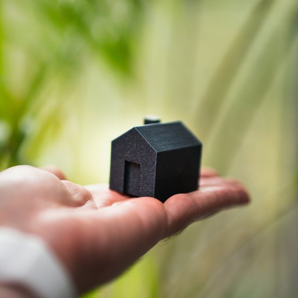 Hand holding a black miniature of a house
