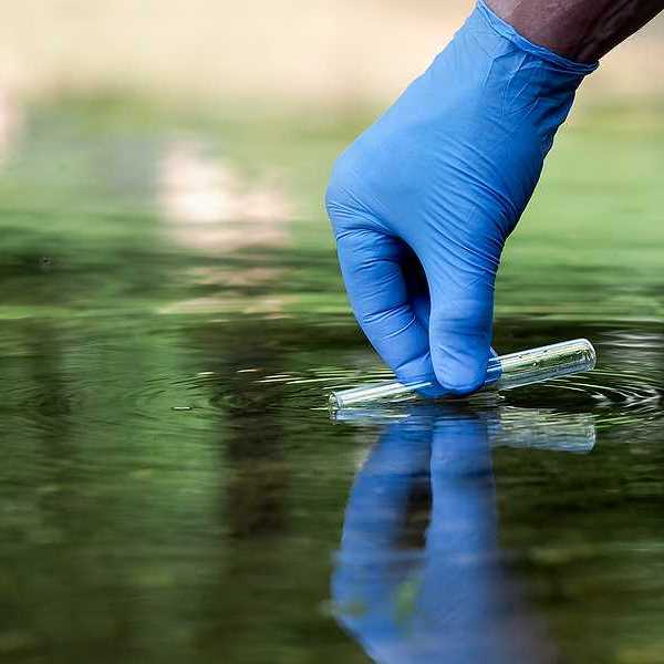 Hand in glove collects water in a test tube.