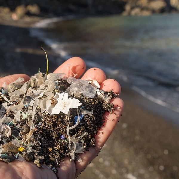 handful of dirt and microplastics