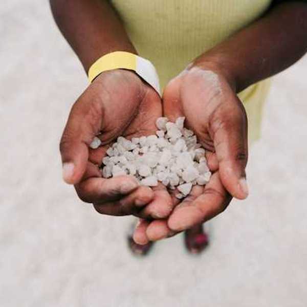Hands cupped holding many hail particles