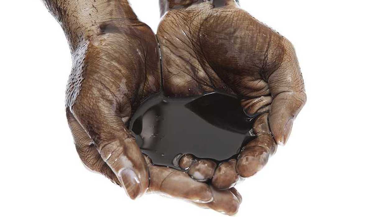 Hands holding a black oily substance