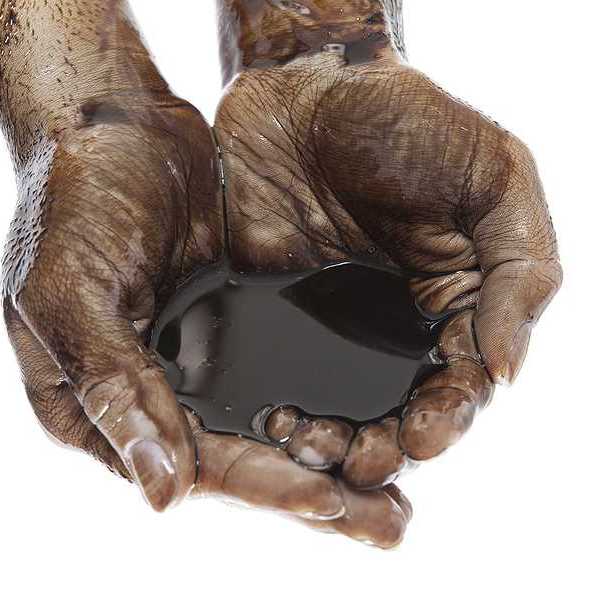 Hands holding a black oily substance