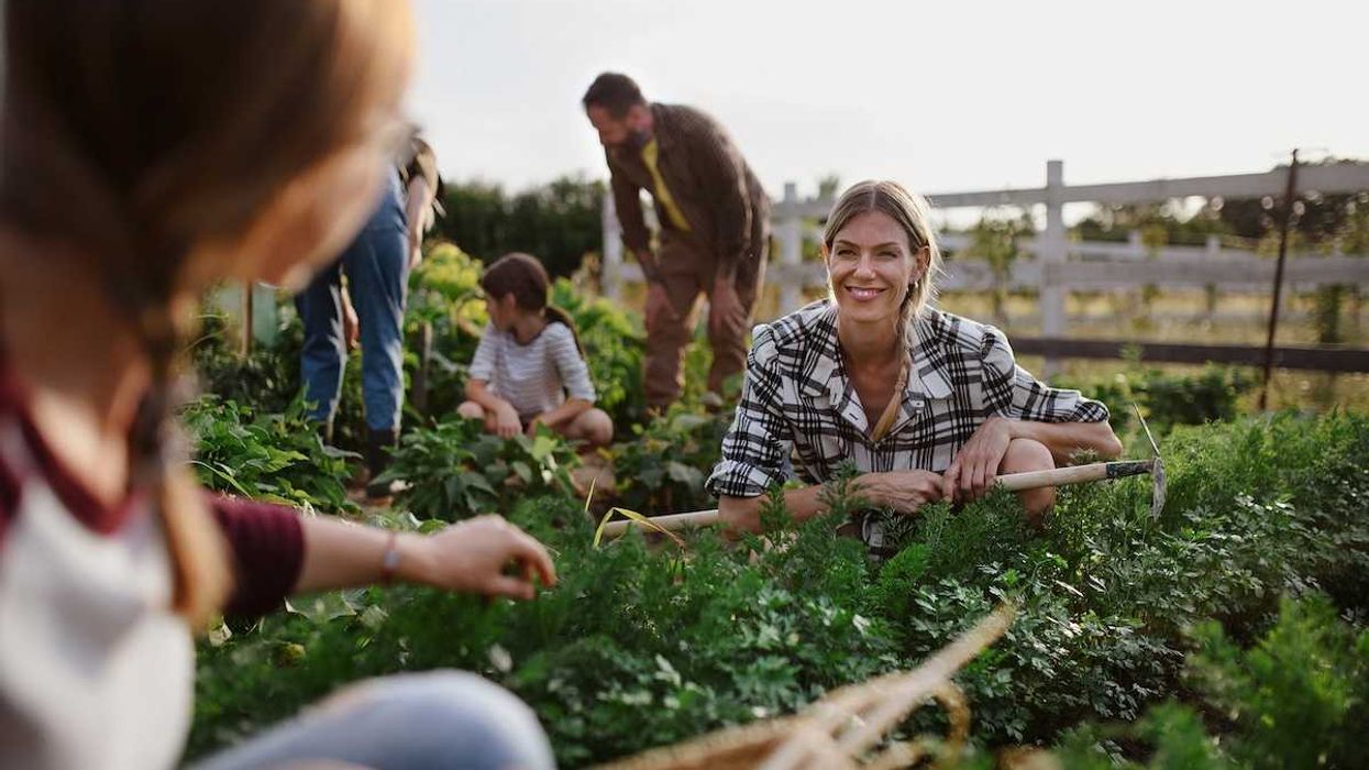 Happy farmers or gardeners working outdoors at community farm.