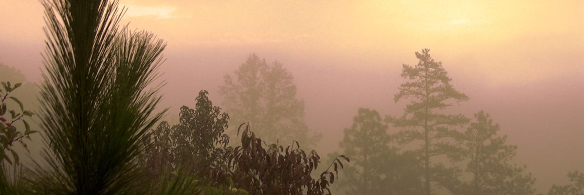 Alabamians see clearer as air pollution plunges