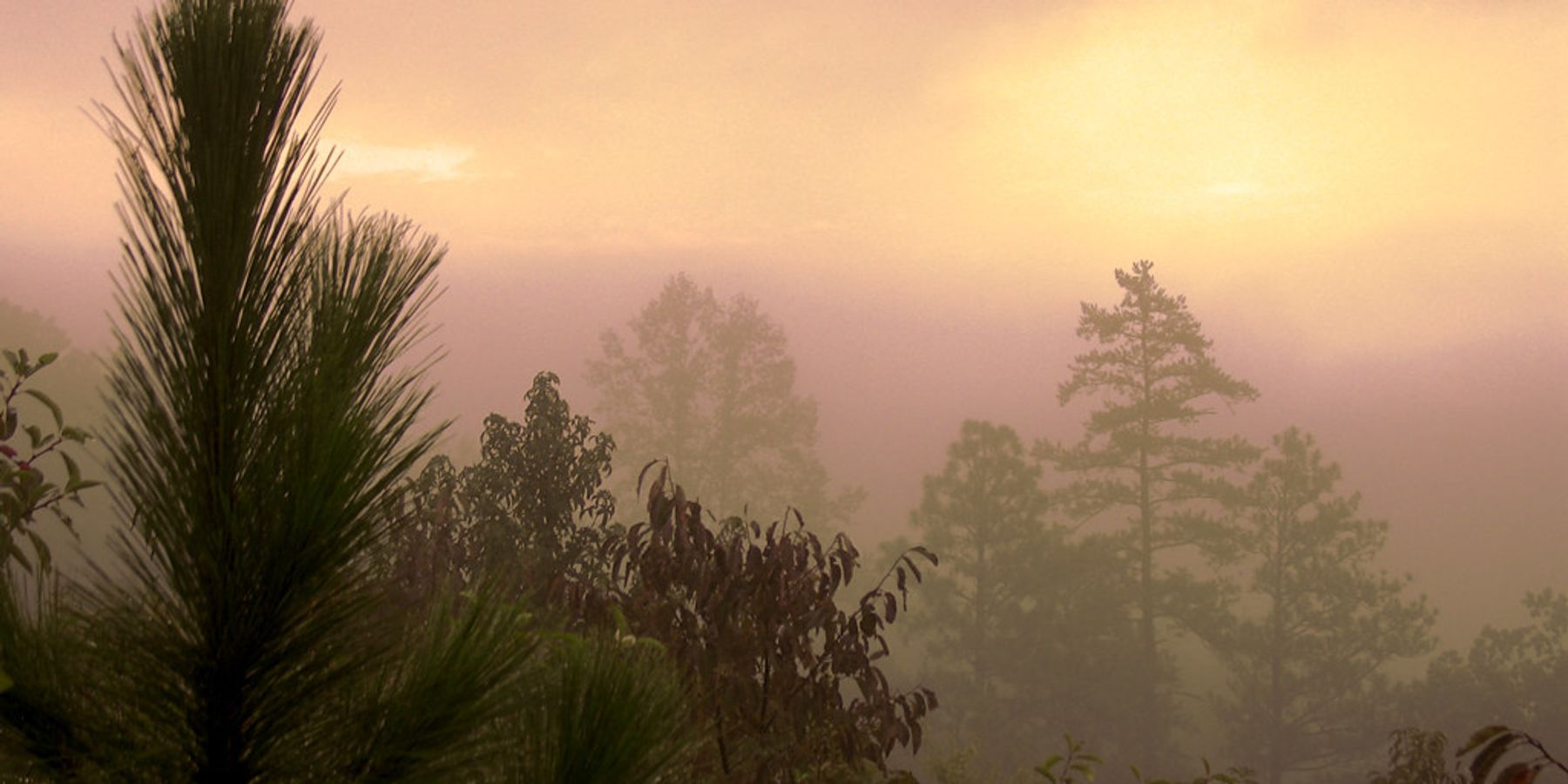 Alabamians see clearer as air pollution plunges