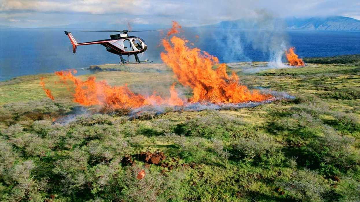 Helicopter flying over a coastal wildfire as flames erupt skyward
