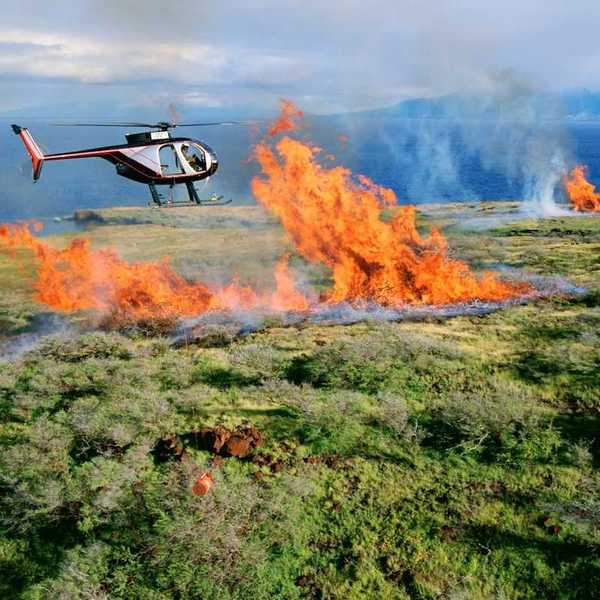 Helicopter flying over a coastal wildfire as flames erupt skyward