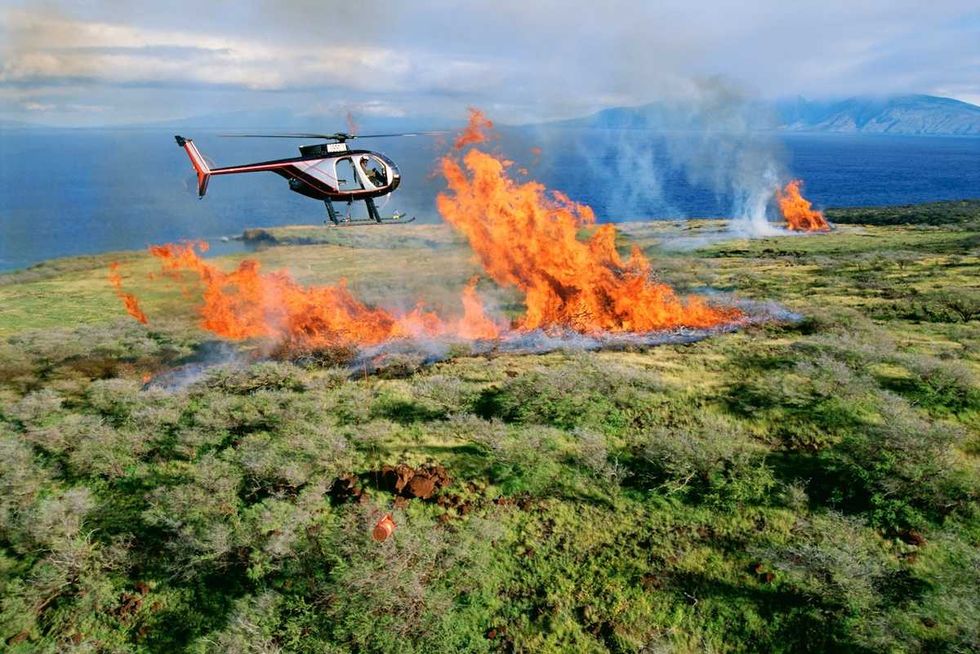California officials scrambled as Spring wildfire neared former nuclear reactor site, emails show