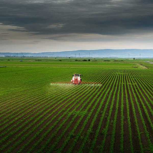 Herbicides being applied to a corn crop with a tractor-mounted spray rig