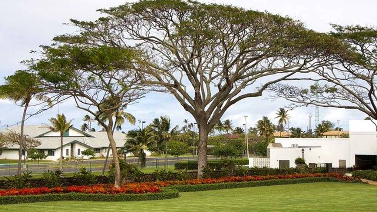 honolulu garden