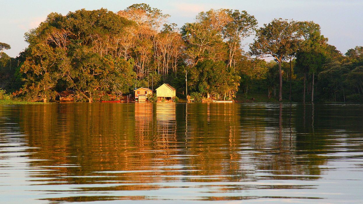 Houses on stilts along a river with forest in background.