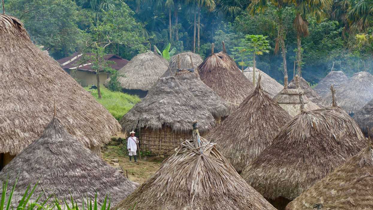 Huts in a jungle.