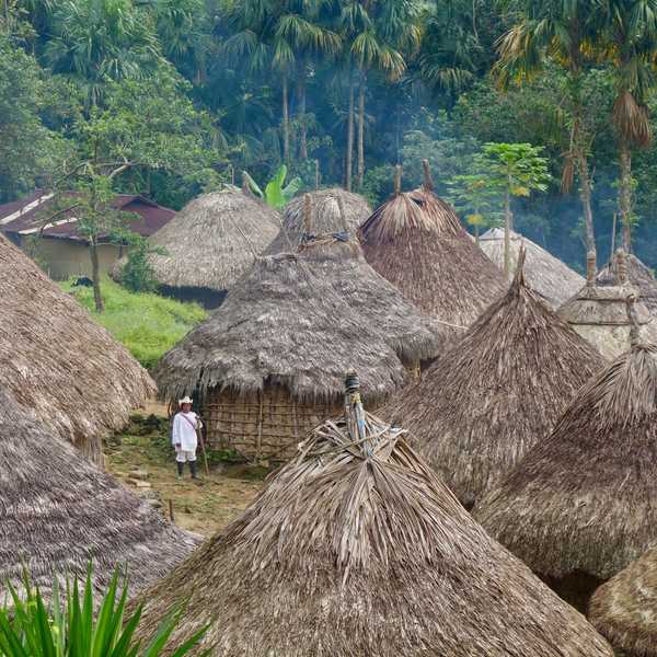 Huts in a jungle.