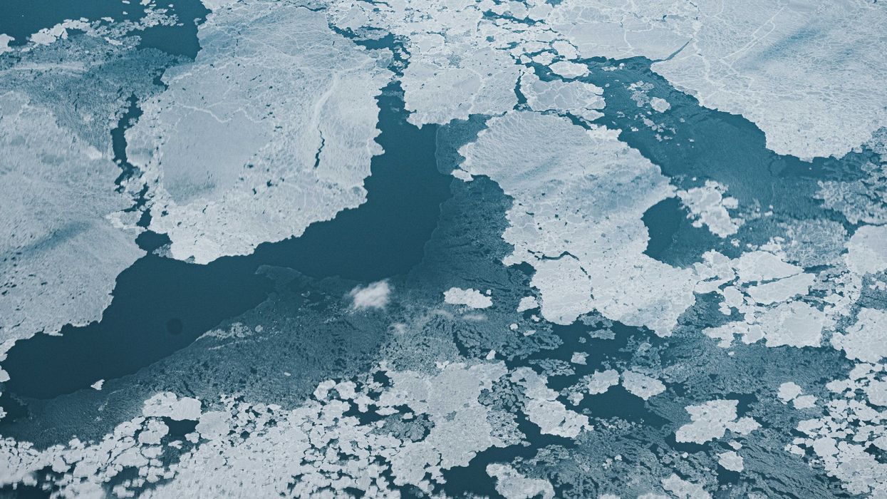 Ice floes float on the cold ocean waters.