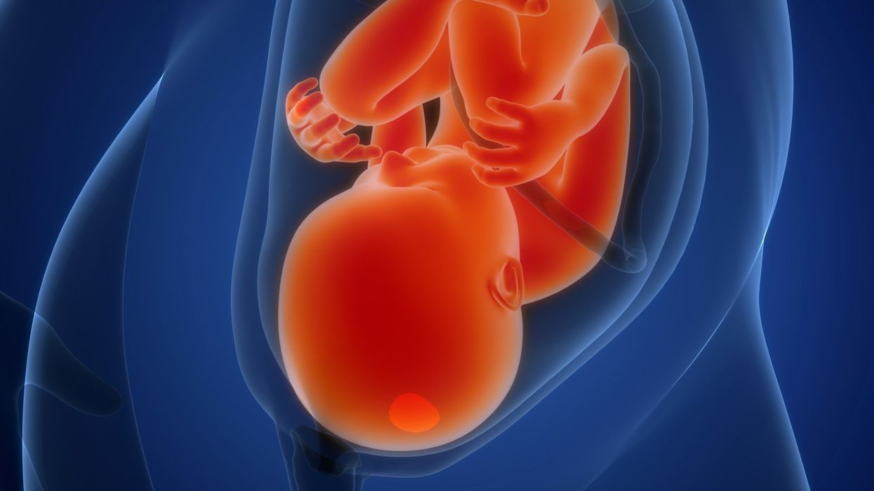 Illustration of fetus in womb