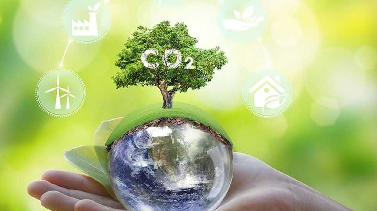 Illustrative concept of earth held in the palm of a hand and sprouting a green tree