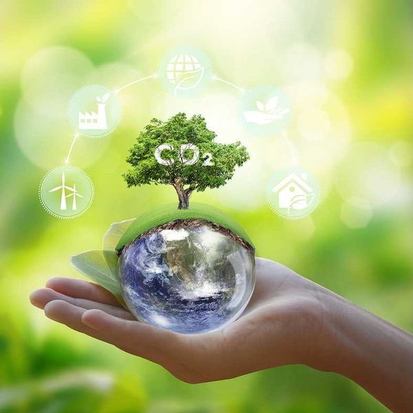 Illustrative concept of earth held in the palm of a hand and sprouting a green tree