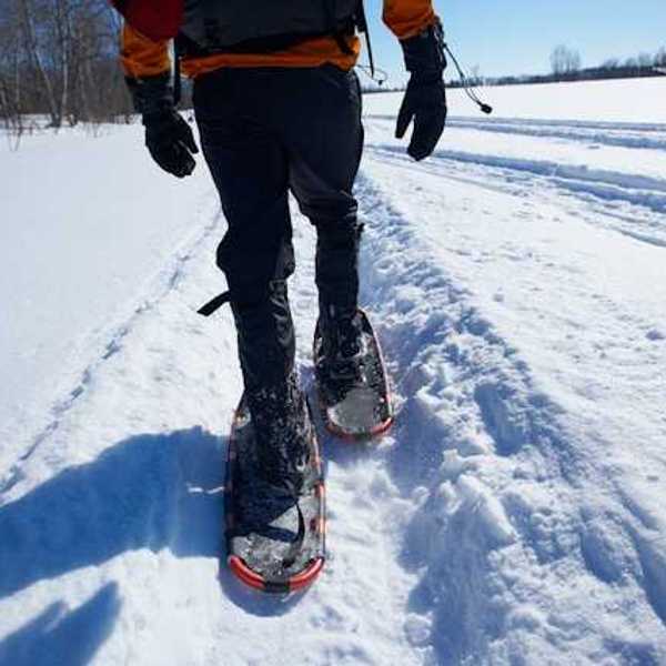 Image of a person snowshoeing in a snowy landscape
