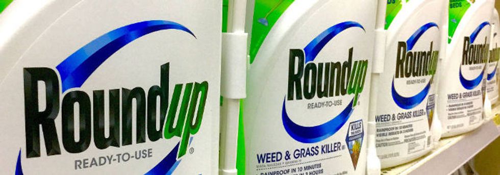 Of mice, Monsanto and a mysterious tumor.