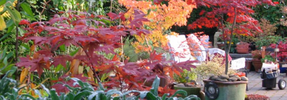 Mulch your soil—inside and out.