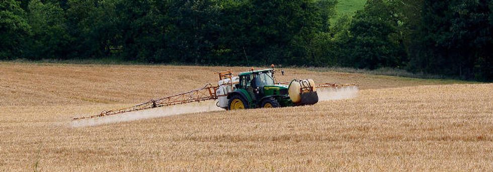 Endocrine disruptors: The discreet but major gift to the pesticides lobby.