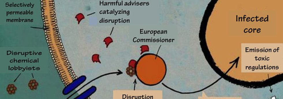 Endocrine disruptors: The secret history of a scandal.