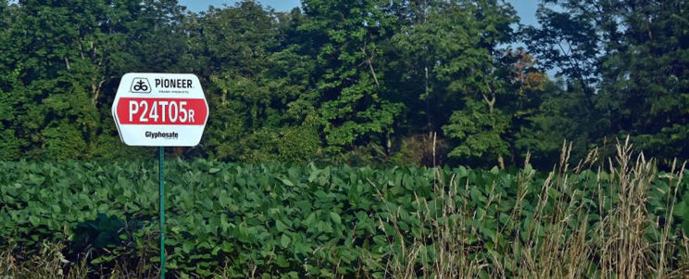 Analysis: Glyphosate exposure trends demand a public health driven response