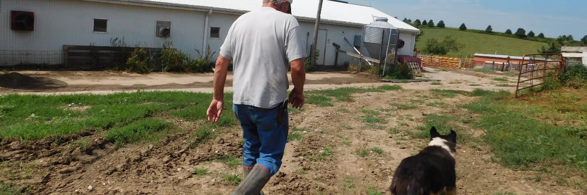 Treatment, taste and trends