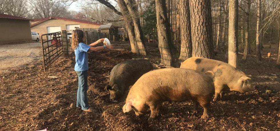Bringing the “farm” back to hog farming