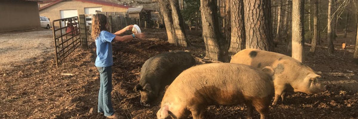 Bringing the “farm” back to hog farming