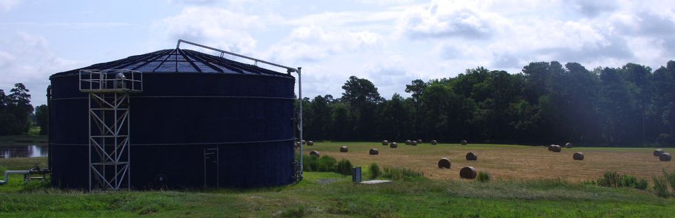Hog waste-to-gas: Renewable energy or more hot air?