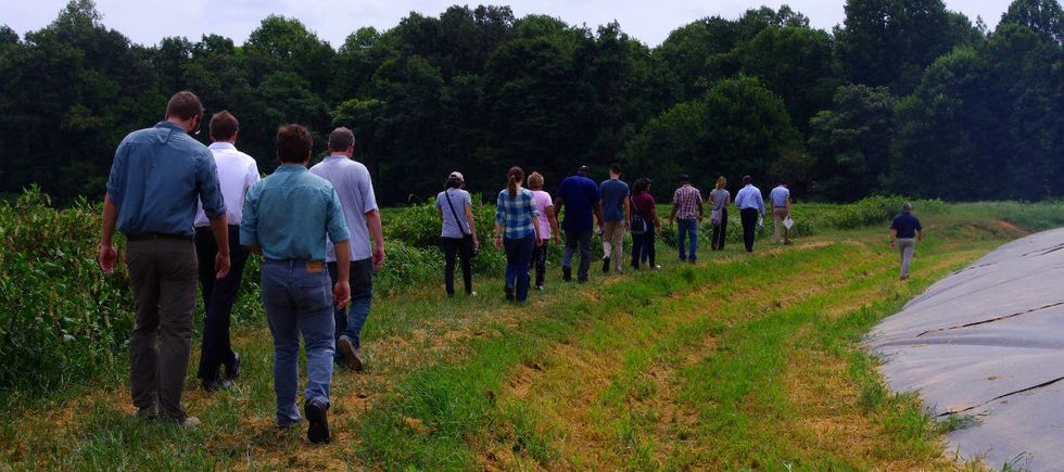 Using biogas to clear the air near hog farms