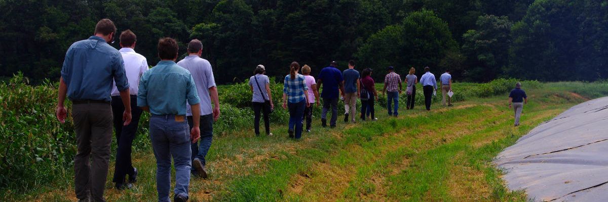 Using biogas to clear the air near hog farms