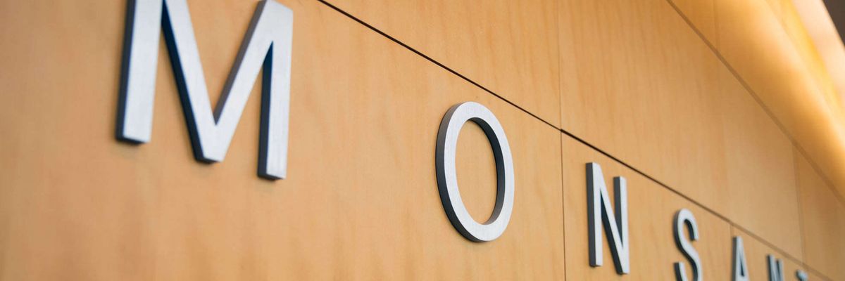 The Monsanto Papers, Part 2 — Reaping a bitter harvest