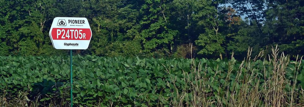 The Monsanto Papers, Part 1 — Operation: Intoxication