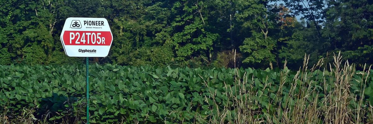 The Monsanto Papers, Part 1 — Operation: Intoxication