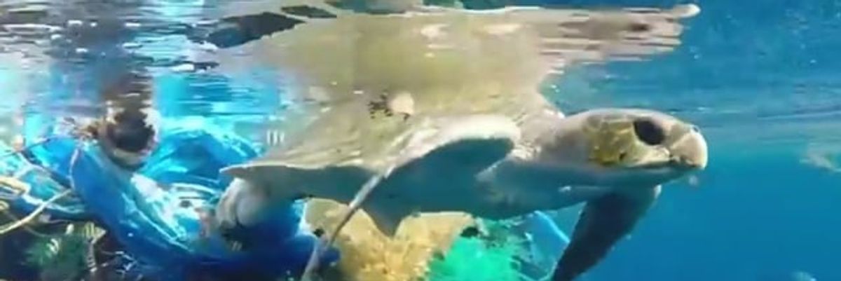 The sad, ugly fate of our plastic trash in the ocean