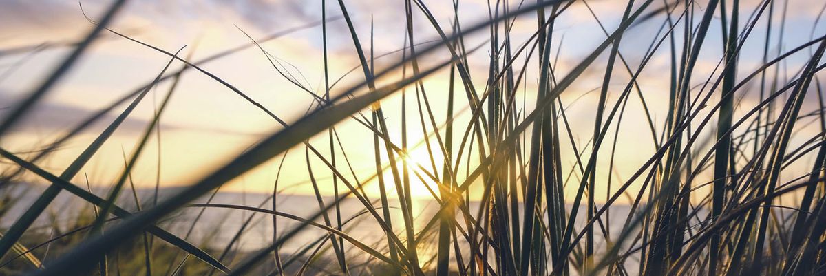 Take a peek into issues shaping the environment & energy in 2018 - Today, 3p EST