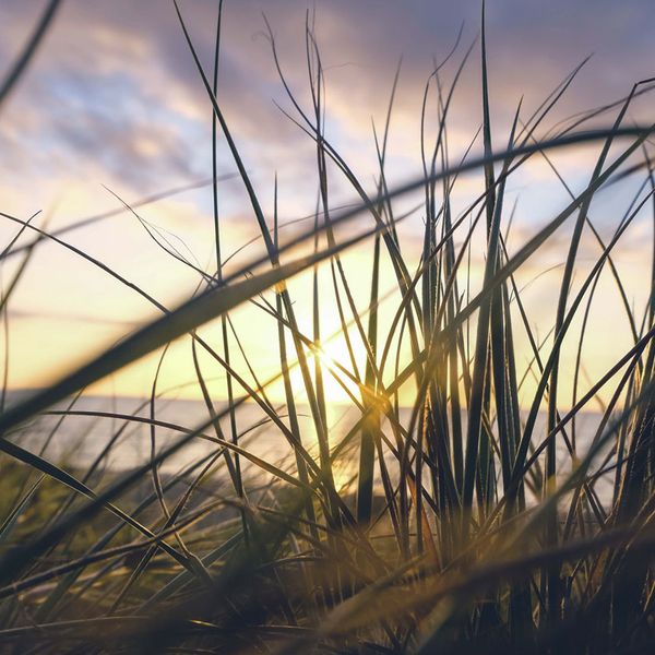 Take a peek into issues shaping the environment & energy in 2018 - Today, 3p EST