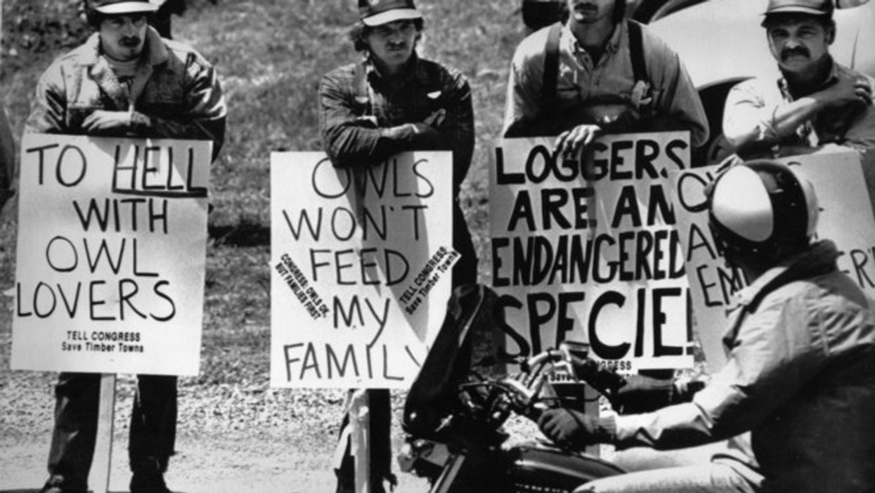 Profiles in Scourges, Part 3: A Western Rebellion Comes of Age. And Rage.