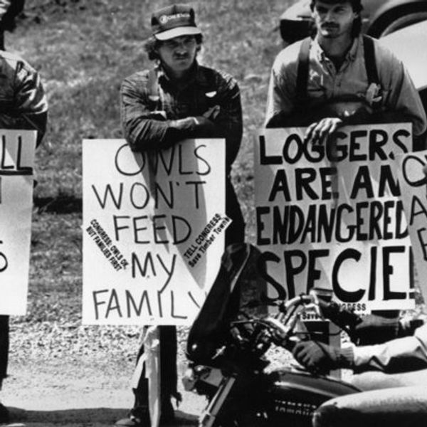 Profiles in Scourges, Part 3:  A Western Rebellion Comes of Age. And Rage.