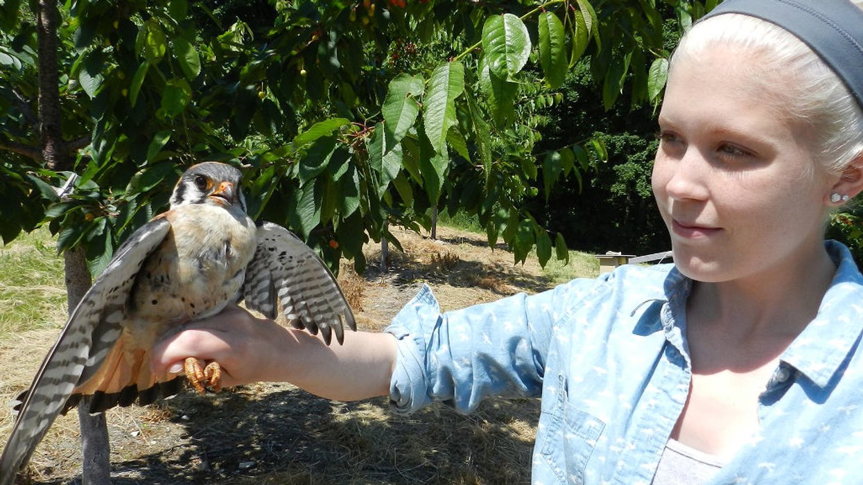 Protecting crops with predators instead of poisons