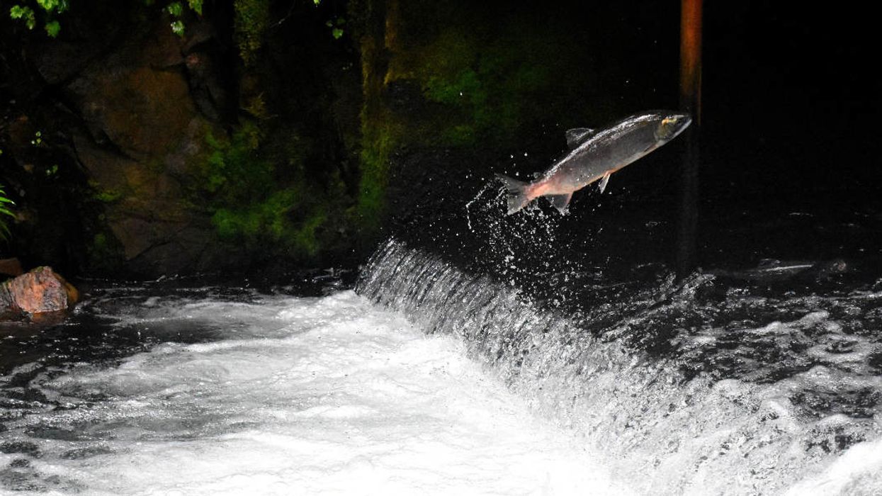 Analysis: The new Farm Bill’s pesticide provisions are a sneak attack on the environment