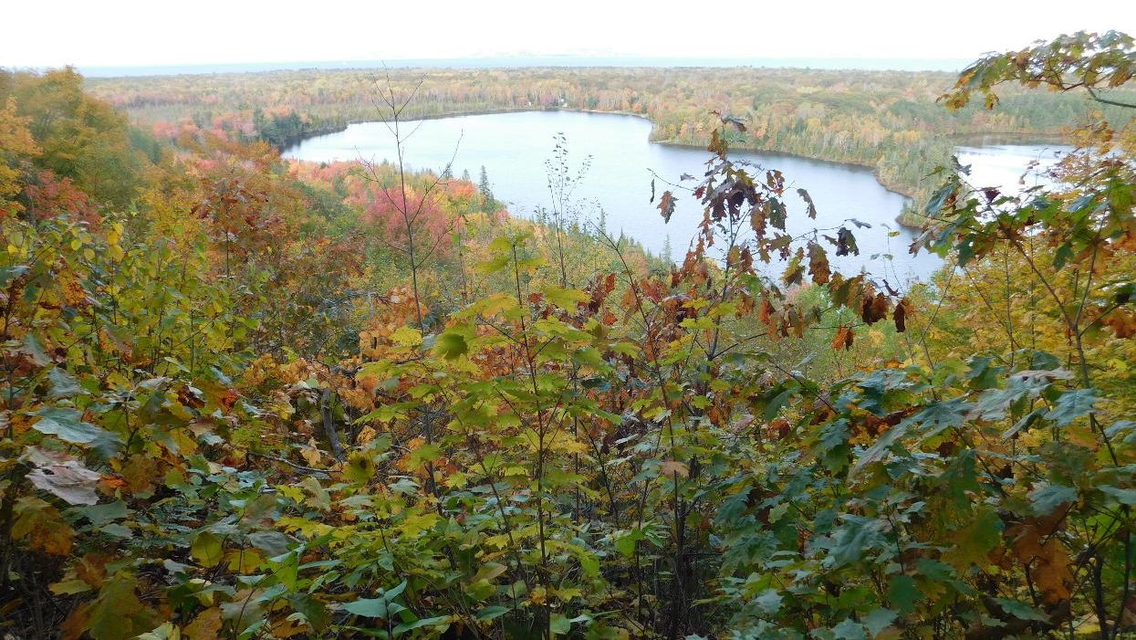 Happy people … happy forests?