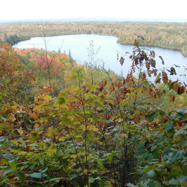 Happy people … happy forests?