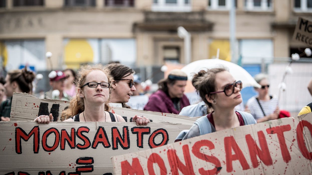 Essay: Monsanto’s ghostwriting and strong-arming threaten sound science—and society