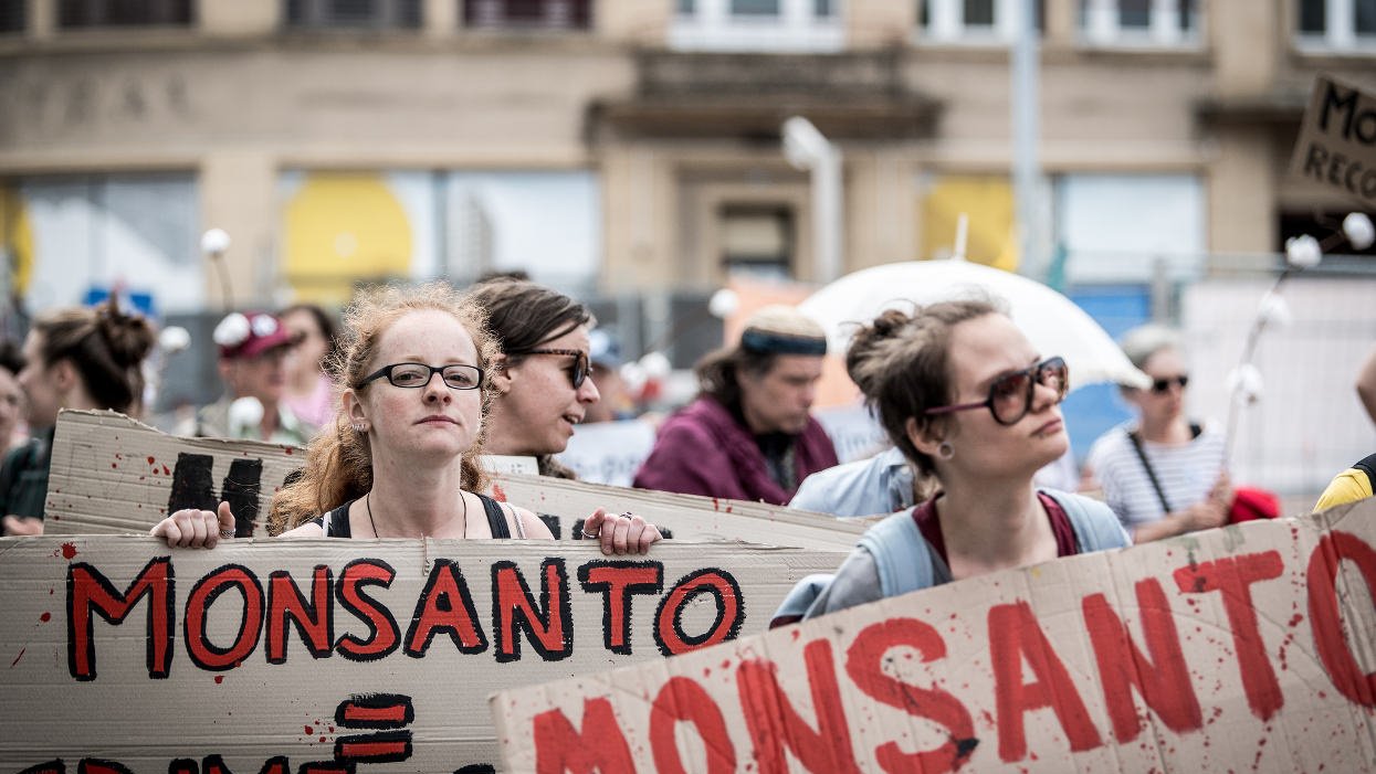 Essay: Monsanto’s ghostwriting and strong-arming threaten sound science—and society